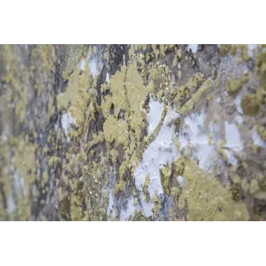 OBRAZ NA PŁÓTNIE SUPER TREE -A- 180X3,8X60 cm